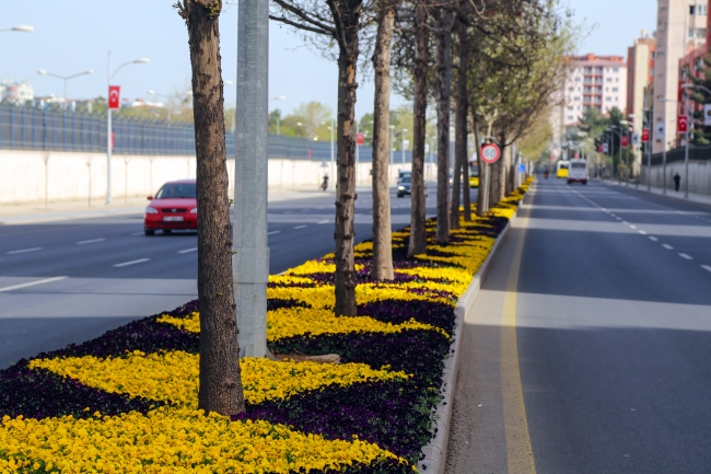 Diyarbakır'da milyonlarca çiçek dikiliyor